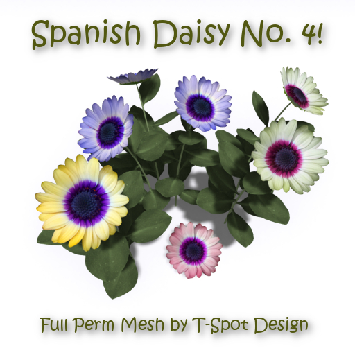 Second Life Marketplace TSpot Mesh Spanish Daisy No. 4 Full Perm